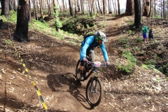 14054283_923969254370210_8200196203633933377_o