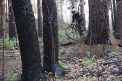 14991225_923971154370020_5338550681492592919_o