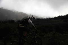 15000019_923974667703002_1963921591765132512_o