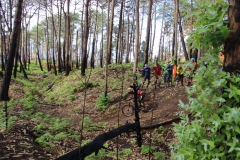 15000059_923972511036551_4950344393789024682_o