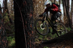 15000081_923972991036503_8520694234011204579_o