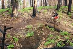 15000151_923972367703232_1945726949042528442_o