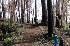 15000162_923970057703463_3384204414768553891_o