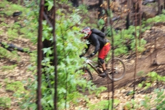 15025139_923971757703293_8021122506152766675_o