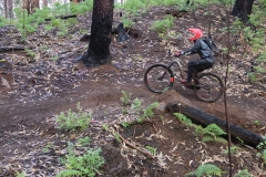 15110399_923972837703185_3699371218138284187_o