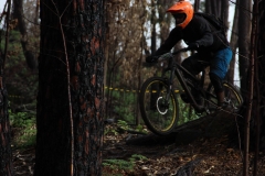 15111060_923971341036668_7962722212496327571_o